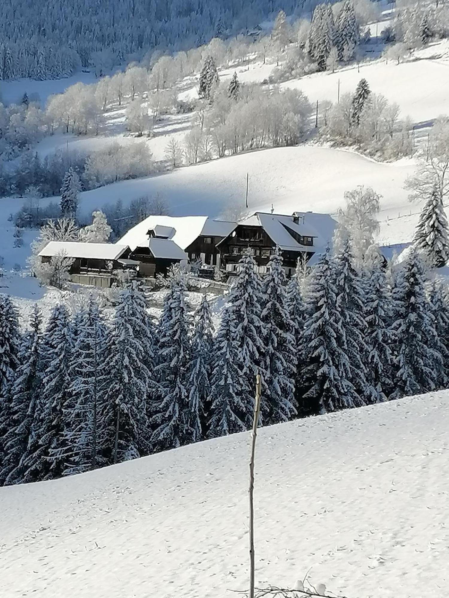 Hotel Surtmannhof à Sirnitz Extérieur photo