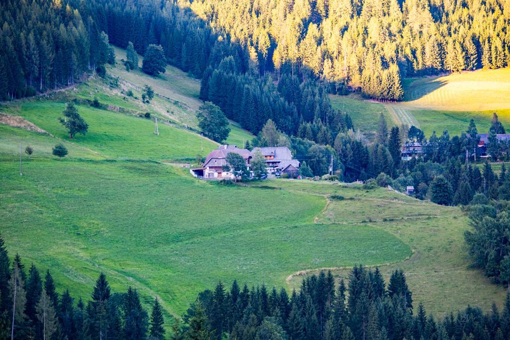 Hotel Surtmannhof à Sirnitz Extérieur photo